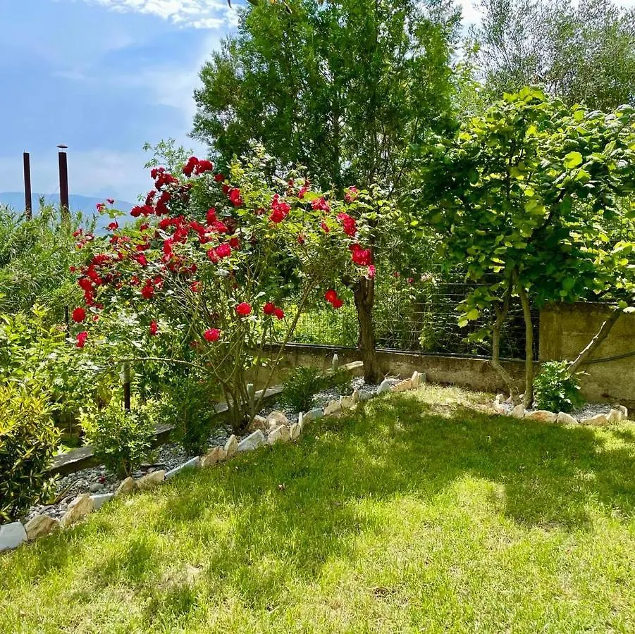 Apartmán Cortina House Berat Kuçovë Albánie